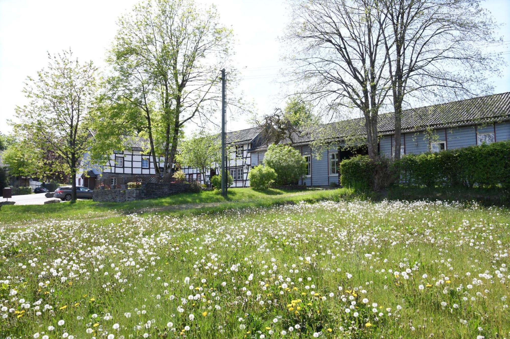 Nassenhof Apartamento *